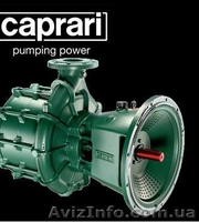 Насосы для систем автоматического полива Caprari (Италия) - <ro>Изображение</ro><ru>Изображение</ru> #1, <ru>Объявление</ru> #463700