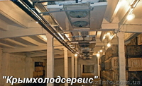 Строительство овощехранилищ - <ro>Изображение</ro><ru>Изображение</ru> #1, <ru>Объявление</ru> #509175