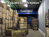 Строительство овощехранилищ - <ro>Изображение</ro><ru>Изображение</ru> #2, <ru>Объявление</ru> #509175