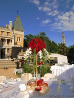 флористика, живые цветы - <ro>Изображение</ro><ru>Изображение</ru> #7, <ru>Объявление</ru> #495183