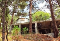 Недострой гостиницы Крым, Береговое. - <ro>Изображение</ro><ru>Изображение</ru> #6, <ru>Объявление</ru> #536762