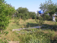 Участок срочно  - <ro>Изображение</ro><ru>Изображение</ru> #2, <ru>Объявление</ru> #560145