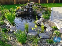 Самые лучшие и разнообразные дизайнерские курсы - <ro>Изображение</ro><ru>Изображение</ru> #1, <ru>Объявление</ru> #546727