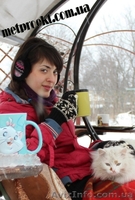 Качели садовые эксклюзивные! - <ro>Изображение</ro><ru>Изображение</ru> #6, <ru>Объявление</ru> #560987