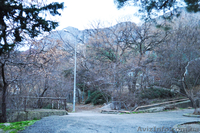 Продается участок в Кастрополе (п.г.т. Береговое)- Крым   - <ro>Изображение</ro><ru>Изображение</ru> #4, <ru>Объявление</ru> #592527