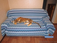 Эксклюзивный плед ручной работы - <ro>Изображение</ro><ru>Изображение</ru> #1, <ru>Объявление</ru> #585777