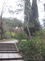 Продается участок 8,68 соток в Ялте - <ro>Изображение</ro><ru>Изображение</ru> #2, <ru>Объявление</ru> #593459