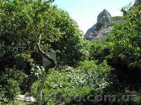 Домик в 7 минутах от моря в Симеизе ( большая Ялта) - <ro>Изображение</ro><ru>Изображение</ru> #7, <ru>Объявление</ru> #596979