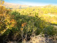 Продается участок 12 соток , между Партенитом и Гурзуфом - Крым - <ro>Изображение</ro><ru>Изображение</ru> #2, <ru>Объявление</ru> #592544