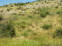 Продается участок в Балаклаве у крепости Чембало- Крым - <ro>Изображение</ro><ru>Изображение</ru> #4, <ru>Объявление</ru> #593292