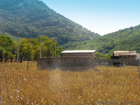 Продается участок в Орлином, 300 метров от озера - Крым - <ro>Изображение</ro><ru>Изображение</ru> #7, <ru>Объявление</ru> #592551