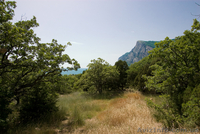 Продается участок в Ласпи , 300 метров от моря, ЮБК- Крым - <ro>Изображение</ro><ru>Изображение</ru> #3, <ru>Объявление</ru> #593328