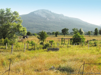 Продается участок в Орлином, 300 метров от озера и центра села - Крым - <ro>Изображение</ro><ru>Изображение</ru> #2, <ru>Объявление</ru> #593289