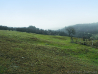 Продается участок в Новоульяновке, Бельбекская долина - Крым - <ro>Изображение</ro><ru>Изображение</ru> #3, <ru>Объявление</ru> #593299