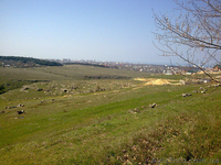 Продается участок в жилой зоне , ул. Генерала Мельника в Севастополе - Крым - <ro>Изображение</ro><ru>Изображение</ru> #5, <ru>Объявление</ru> #593307