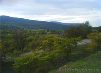 Продается участок в Нижней Голубинке, Бельбекская долина - Крым - <ro>Изображение</ro><ru>Изображение</ru> #4, <ru>Объявление</ru> #593314