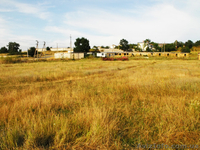 Продается участок в Орлином, 300 метров от озера и центра села - Крым - <ro>Изображение</ro><ru>Изображение</ru> #3, <ru>Объявление</ru> #593289