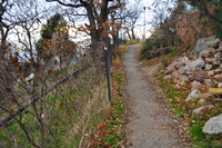 Продается участок в Кастрополе (п.г.т. Береговое)- Крым   - <ro>Изображение</ro><ru>Изображение</ru> #2, <ru>Объявление</ru> #592527