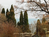 Продается участок в Алупке, 1 км от моря - Крым - <ro>Изображение</ro><ru>Изображение</ru> #2, <ru>Объявление</ru> #592500