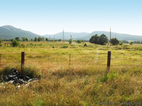 Продается участок в Орлином, 300 метров от озера и центра села - Крым - <ro>Изображение</ro><ru>Изображение</ru> #4, <ru>Объявление</ru> #593289