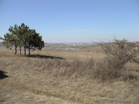 Лозовое 3 ст Дружба - <ro>Изображение</ro><ru>Изображение</ru> #5, <ru>Объявление</ru> #628520