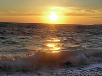 Комфортный отдых в Крыму - <ro>Изображение</ro><ru>Изображение</ru> #1, <ru>Объявление</ru> #628959