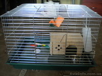 Продам новую клетку для кролика 250 грн - <ro>Изображение</ro><ru>Изображение</ru> #2, <ru>Объявление</ru> #651198