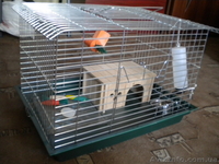 Продам новую клетку для кролика 250 грн - <ro>Изображение</ro><ru>Изображение</ru> #1, <ru>Объявление</ru> #651198