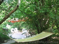 Сдаю номера, котедж  - <ro>Изображение</ro><ru>Изображение</ru> #1, <ru>Объявление</ru> #693949