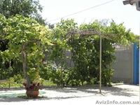 Частное домовладение “Солнечный” - <ro>Изображение</ro><ru>Изображение</ru> #1, <ru>Объявление</ru> #702186