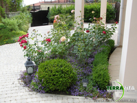 ДП "Терра Вита" - <ro>Изображение</ro><ru>Изображение</ru> #5, <ru>Объявление</ru> #715028