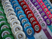 Наградные розетки,риббоны,значки,вымпела! Киев.Дешево! - <ro>Изображение</ro><ru>Изображение</ru> #1, <ru>Объявление</ru> #717617