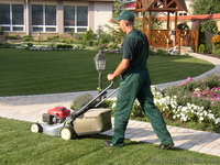 ДП "Терра Вита" - <ro>Изображение</ro><ru>Изображение</ru> #2, <ru>Объявление</ru> #715028