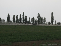 сельхозпредприятие 1200 га в Западном Крыму - <ro>Изображение</ro><ru>Изображение</ru> #1, <ru>Объявление</ru> #752387