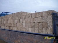 камень-ракушка с доставкой. - <ro>Изображение</ro><ru>Изображение</ru> #1, <ru>Объявление</ru> #772729