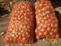 Сельхозтовары от производителя - <ro>Изображение</ro><ru>Изображение</ru> #2, <ru>Объявление</ru> #646266