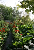 Своя квартира на земле - <ro>Изображение</ro><ru>Изображение</ru> #9, <ru>Объявление</ru> #779739