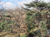 Предлагаю от хозяина 2 сотых  - <ro>Изображение</ro><ru>Изображение</ru> #3, <ru>Объявление</ru> #844654