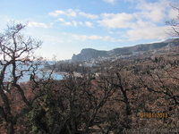 Предлагаю от хозяина 2 сотых  - <ro>Изображение</ro><ru>Изображение</ru> #2, <ru>Объявление</ru> #844654