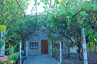 Дача 65 м² пгт. Орджоникидзе 4 сот. Крым Феодосия - <ro>Изображение</ro><ru>Изображение</ru> #2, <ru>Объявление</ru> #841593