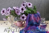 Продам ампельную и кустовую петунию - <ro>Изображение</ro><ru>Изображение</ru> #1, <ru>Объявление</ru> #856334