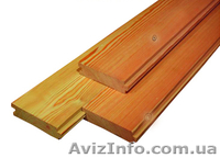 Сибирская лиственница Крым - <ro>Изображение</ro><ru>Изображение</ru> #3, <ru>Объявление</ru> #857919