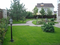 ОЗЕЛЕНЕНИЕ И САДОВЫЕ РАБОТЫ - <ro>Изображение</ro><ru>Изображение</ru> #2, <ru>Объявление</ru> #863605