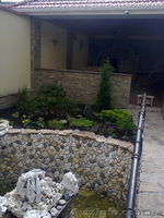 Озеленение.Качественно и  со вкусом. Учитывая Ваши пожелания. - <ro>Изображение</ro><ru>Изображение</ru> #2, <ru>Объявление</ru> #856337