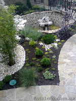 Озеленение.Качественно и  со вкусом. Учитывая Ваши пожелания. - <ro>Изображение</ro><ru>Изображение</ru> #3, <ru>Объявление</ru> #856337