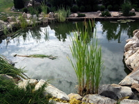 Искусственные водоемы, декоративные ручьи - <ro>Изображение</ro><ru>Изображение</ru> #2, <ru>Объявление</ru> #891974