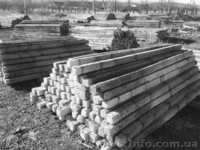 Виноградные колья - <ro>Изображение</ro><ru>Изображение</ru> #1, <ru>Объявление</ru> #886587