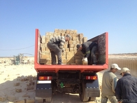 Камень-ракушечник - <ro>Изображение</ro><ru>Изображение</ru> #1, <ru>Объявление</ru> #894458