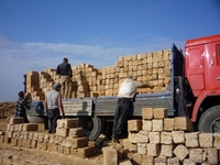 Камень-ракушечник - <ro>Изображение</ro><ru>Изображение</ru> #2, <ru>Объявление</ru> #894458