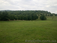 продам участок лкх 80 соток под горой БОЙКО - <ro>Изображение</ro><ru>Изображение</ru> #3, <ru>Объявление</ru> #460482